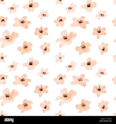 917 Flower Background Minimalist Images - MyWeb