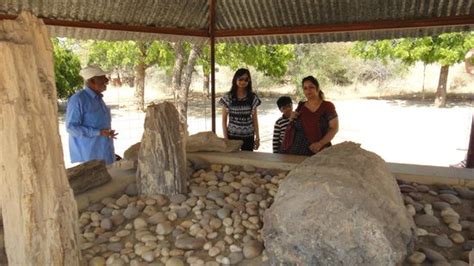 Akal Wood Fossil Park (Jaisalmer) - 2021 All You Need to Know BEFORE You Go | Tours & Tickets ...