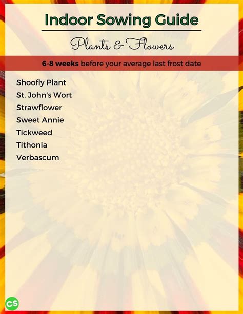 When to Sow Seeds Indoors - Complete Chart to Over 100 Beautiful Flowers - Catching Spring