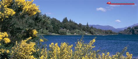 Lakes of Patagonia are mirrors of water fed by the high mountains