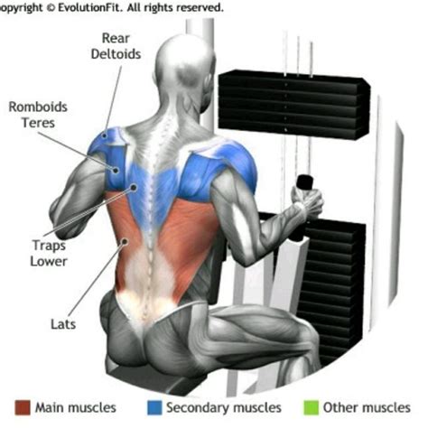 Row Machine by Dave D. - Exercise How-to - Skimble