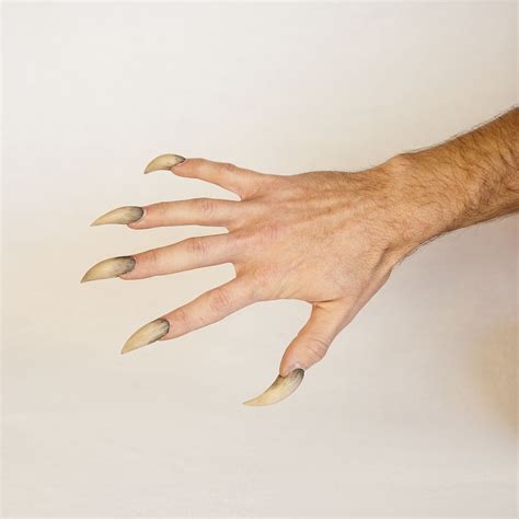 Complete your werewolf costume with these resin werewolf claws – Werewolf News