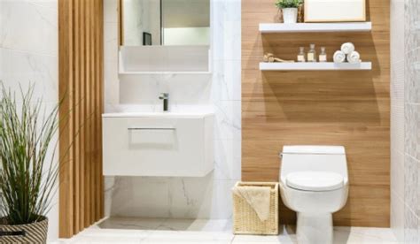 Home toilet design ideas for contemporary homes