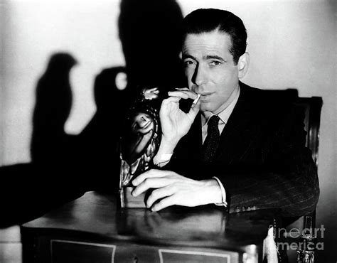 The Maltese Falcon (1941) Humphrey Bogart : r/noir