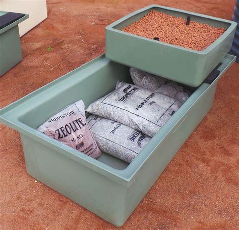 Aquaponic Kit - Small Short Rectangle - Woodvale Fish & Lily Farm Perth