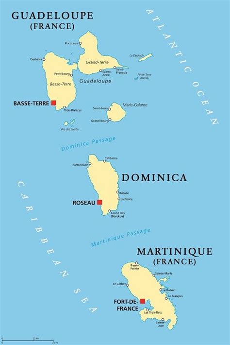 French Antilles Summer Program | Academic Programs Abroad | Mapas, Mapas ilustrados, Mapa politico