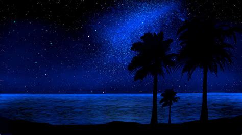 Dppicture: Beach At Night With Stars Wallpaper