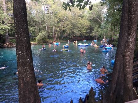 Ginnie Springs: River Tubing And More