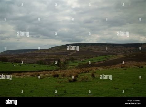 The Yorkshire Moors Stock Photo - Alamy