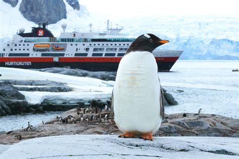 Expedition Cruises with Hurtigruten | Scenic Travel