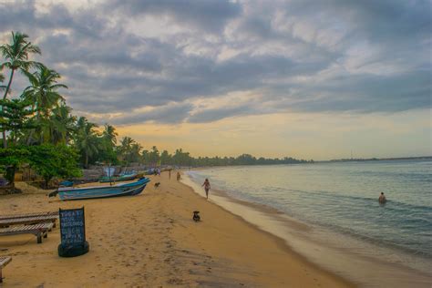 TOP 10 AMAZING THINGS TO DO IN ARUGAM BAY, SRI LANKA