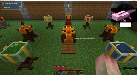 How To Use Infusion Altar Minecraft Mystical Agriculture at Alana James ...