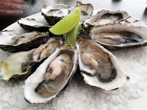 Pacific Oyster | California Sea Grant