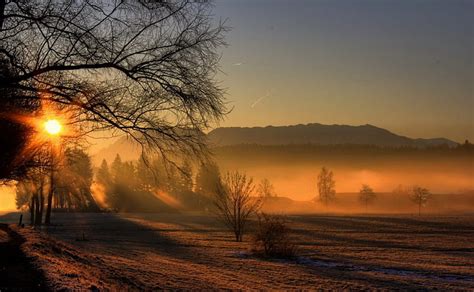 Misty Morning, foggy, sun, grass, magic, clouds, fog, nice, mounts ...