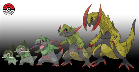 Pokemon Haxorus Evolution Chart