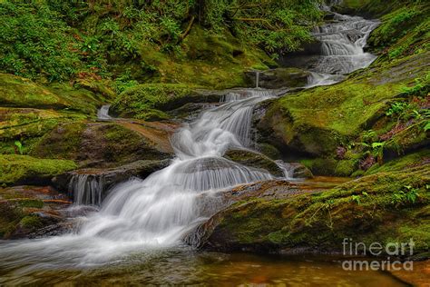 Roaring Fork Falls Photograph by Tammy Cook