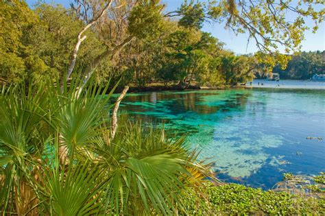 Silver Glen Springs > Ocala National Forest