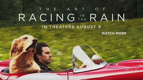 The Art Of Racing In The Rain Movie Wallpapers - Wallpaper Cave