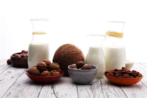 Dairy Alternatives - Complete Guide to Dairy Substitutes