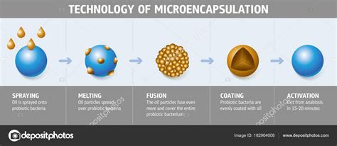 Technology of Microencapsulation Stock Vector Image by ©s.rumiantsev ...