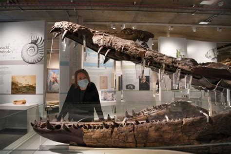 Huge Fossil Of Sea Monster's Skull Found In English Cliff | HuffPost Impact