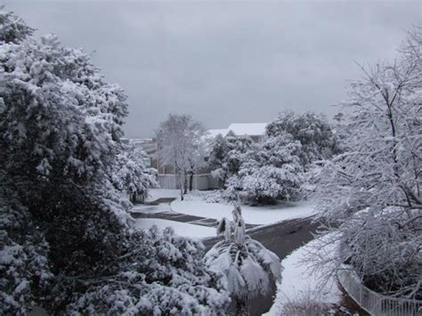 Snow in Myrtle Beach