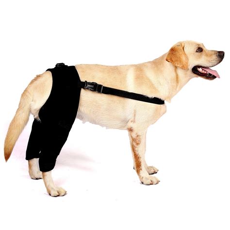 Buy SELMAI 1Pair Dog Leg Brace for Hind Leg, Dog Knee Brace for Back ...