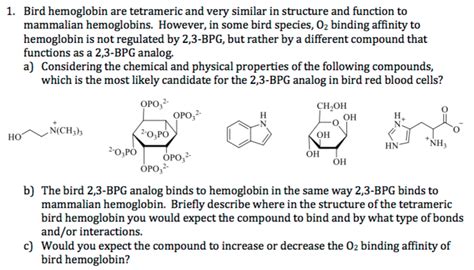 Bird hemoglobin are tetrameric and very similar in | Chegg.com