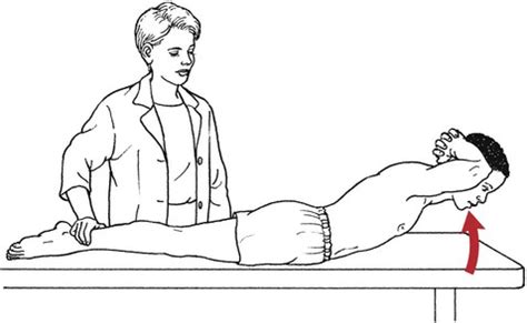 Manual muscle testing upper extremity