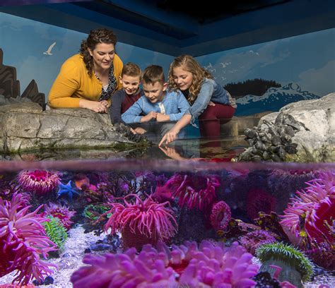 SEA LIFE Aquarium at LEGOLAND® California Resort