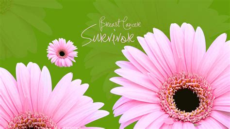 Free download cancer awareness facebook covers breast cancer survivor ...