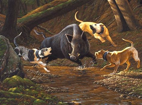 Pig Hunting Dogs, Wild Boar Hunting, Hog Hunting, Hunting Art, Wildlife Prints, Wildlife ...