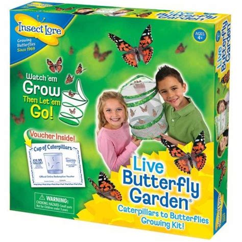 Live Butterfly Garden Kit