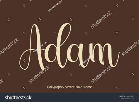 Adam Script Name: Over 9 Royalty-Free Licensable Stock Vectors & Vector Art | Shutterstock