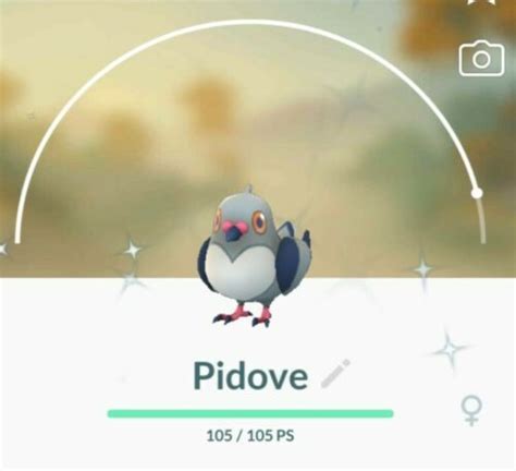 Pokemon go 💥💥shiny Pidove💥💥 !! | eBay