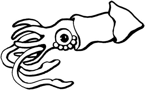 Free Squid Clipart Black And White, Download Free Squid Clipart Black ...