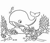 10 Magnificent Whale Animal Coloring Pages To Color sketch template