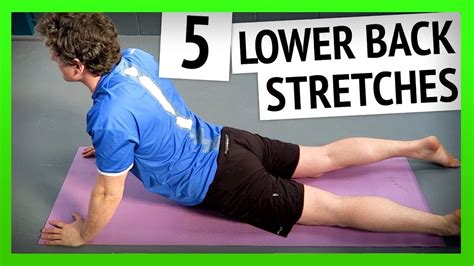 Stretching Exercises For Back Pain Relief – Online degrees