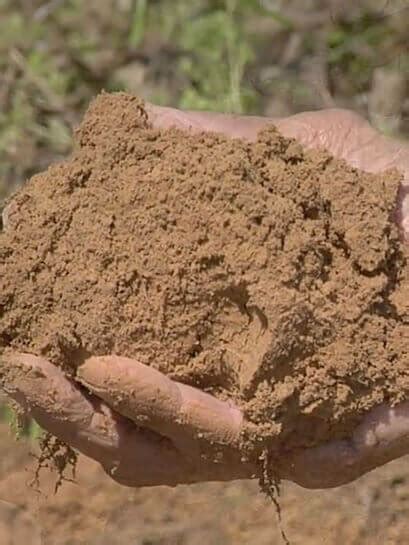 How to identify your soil type and how to rectify it. - Plantinfo