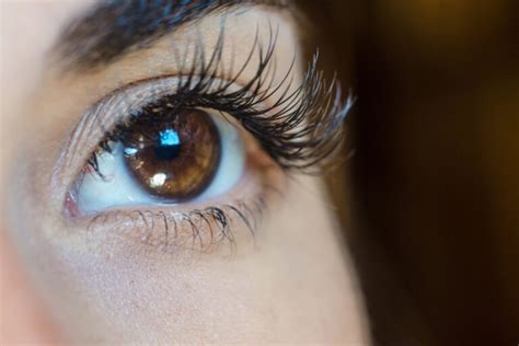 Eyelash Perm (Lash Lift): What It Is, Safety Concerns, and Best DIY Kits