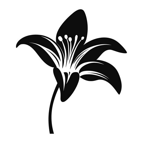 A Lily Flower Vector Silhouette isolated on a white background 35506414 ...