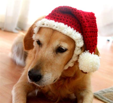 Santa Hat for Dogs, Doggy Santa Hat, Holiday Dog Hat, Christmas Hat for Dogs, Large Breed Dog ...