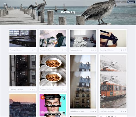 Portfolio X Theme at Gladys Huang blog