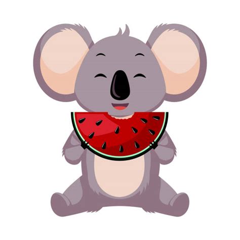 120+ Koala Eating Ilustraciones de Stock, gráficos vectoriales libres de derechos y clip art ...