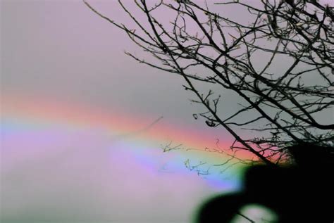 Rainbow Meaning and Symbolism: Unraveling the Beauty and Mystery - Symbol Hippo