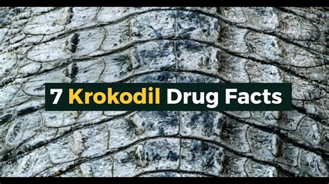 7 Krokodil Drug Facts: All You Need To Know in Under 5 Minutes - YouTube