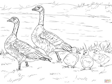 Baby Goose Coloring Page: Adorable Designs for Your Little Ones to Color