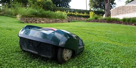 The 5 Best Robot Lawn Mowers for Your Garden in 2024