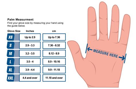 Ammex Nitrile Gloves Size Chart - Images Gloves and Descriptions ...