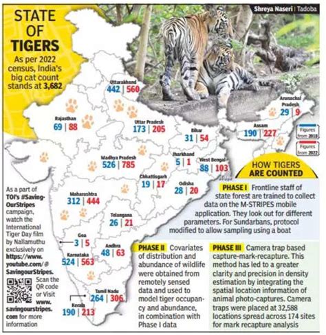 Tiger Population in India 2023: Pegged at 3,167 in April, India's tiger population now placed at ...